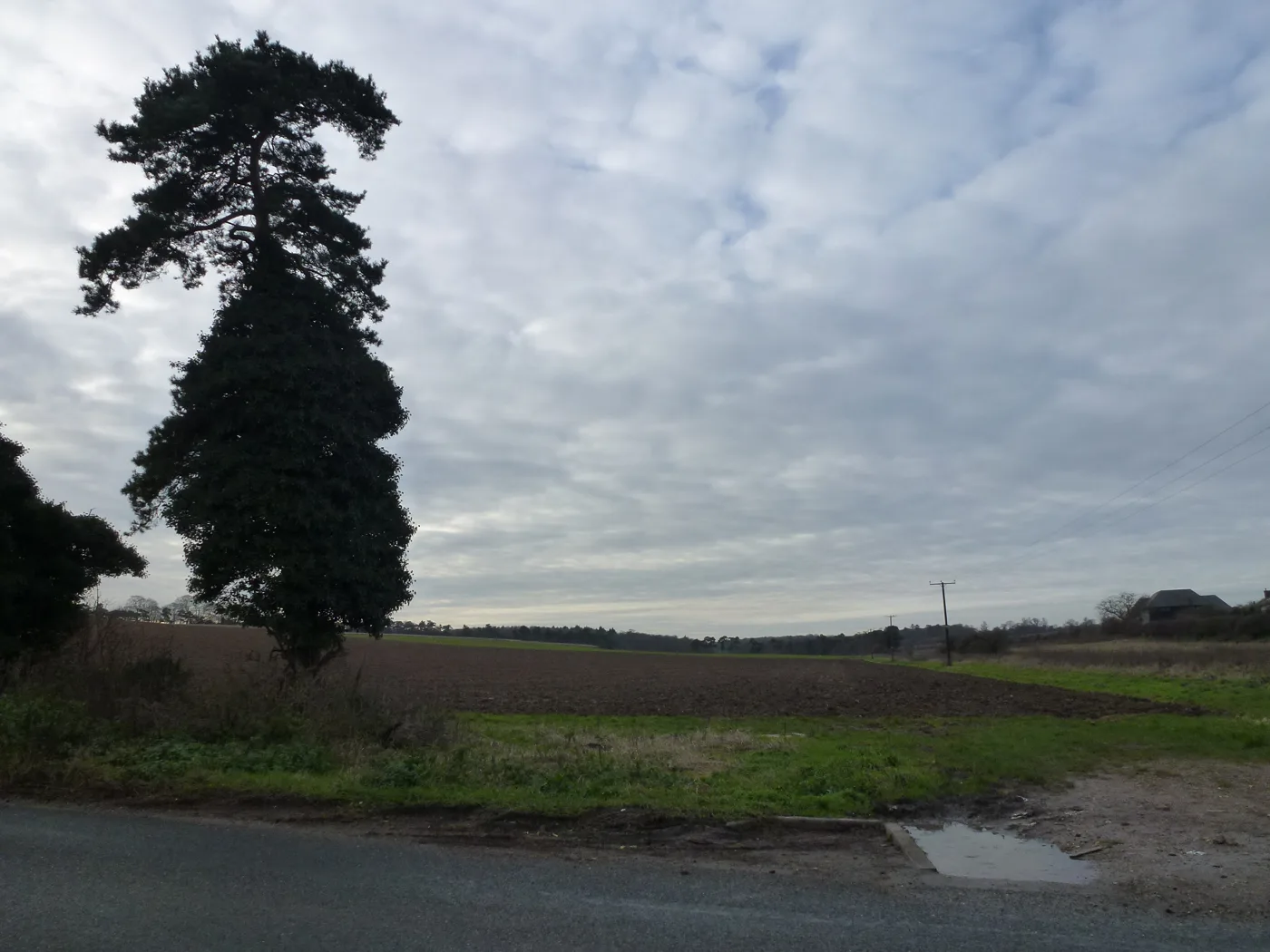 Farmland at Westley Bottom, on the western edge of Bury St Edmunds. The picture does not show a particular submitted site.